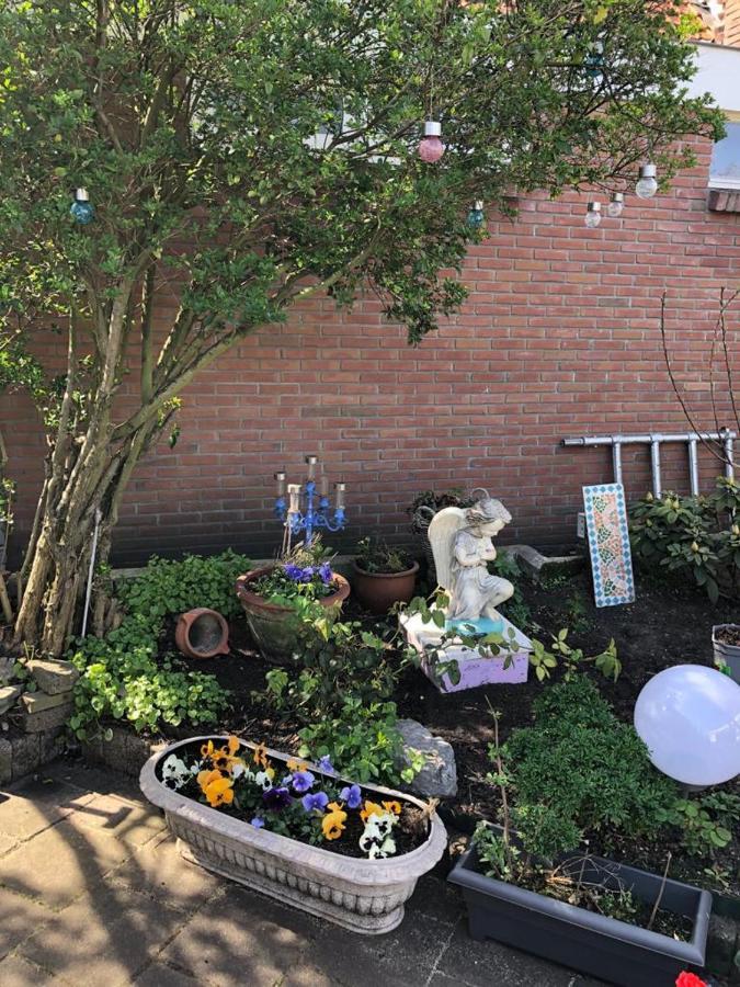 Zomerhuis Vlak Bij Zee Villa Wijk aan Zee Luaran gambar